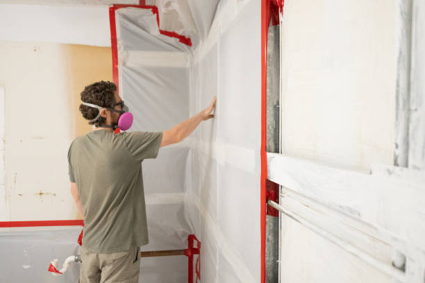 Mold Remediation for Rental Properties in Edgewater, CO